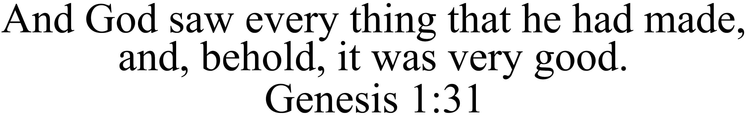 Custom Wall Decals Vinyl Wall Decal Inspirational Wall Signs 