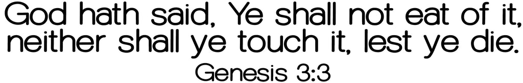 Custom Wall Decals Vinyl Wall Decal Inspirational Wall Signs 